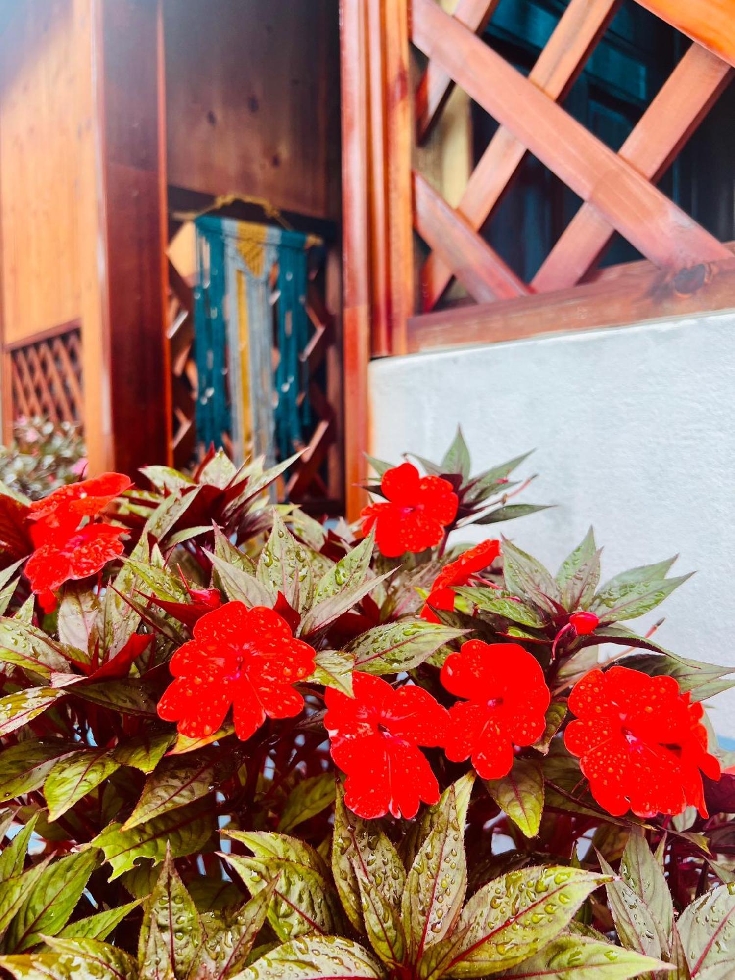 Vietnam Phuot Real Home Kon Tum Room photo